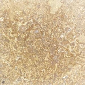 Noche Traverten Dolgulu Honlu - 30.5x30.5x1 CM