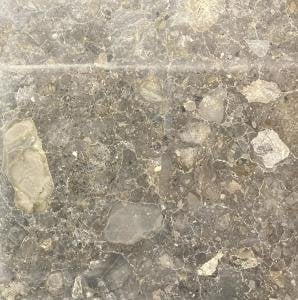 Savana Gri Cilalı - 60x60x2 CM